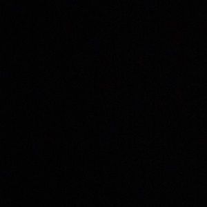 Meet your Posher, Susie